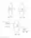 Fig. 42 - Transcatheter heart valves