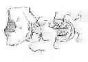 Fig. 01 - Marking template for installing a custom replacement device for resurfacing a femur and associated installation method