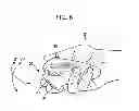 Fig. 07 - INPUT DEVICE AND METHOD AND PROGRAM