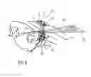 Fig. 06 - APPARATUS AND METHOD FOR CONTACTLESSLY DETECTING OBJECTS AND/OR PERSONS AND GESTURES AND/OR OPERATING PROCEDURES MADE AND/OR CARRIED OUT THEREBY