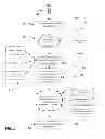 Fig. 06 - Systems and methods relating to ad/content targeting for map route options based on personalization and user data
