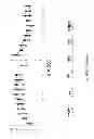 Fig. 09 - SYSTEMS AND METHODS FOR IDENTIFYING THE RELATIONSHIPS BETWEEN A PLURALITY OF GENES