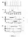 Fig. 06 - Dynamically self-adjusting magnetometer