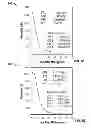 Fig. 09 - Modeling wellbore fluids