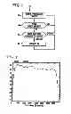 Fig. 02 - Voice activity detection/silence suppression system