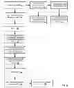 Fig. 07 - ANALYZING THE CAPABILITIES OF A BUSINESS ENTERPRISE
