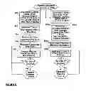 Fig. 07 - METHOD AND APPARATUS FOR THE ANONYMOUS TARGETED DELIVERY, APPLICATION AND MANAGEMENT OF ELECTRONIC COUPONS AND PROMOTIONS