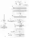 Fig. 08 - SYSTEMS, METHODS, AND MEDIA FOR PRESENTING AN ADVERTISEMENT