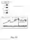 Fig. 11 - PRESENTATION AND ANALYSIS OF DOCKET INFORMATION AND FINANCIAL INFORMATION
