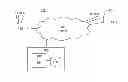 Fig. 01 - SYSTEMS AND METHODS FOR PAYMENT PROCESSING