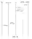 Fig. 19 - Virtual account based new digital cash protocols