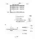 Fig. 28 - Providing snippets relevant to a search query in a conversation-based email system