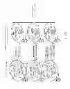Fig. 110 - Method and apparatus for signal filtering and for improving properties of electronic devices