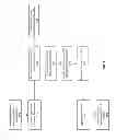 Fig. 04 - Client activity DNS optimization