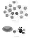 Fig. 13 - Digital Media Objects, Digital Media Mapping, and Method of Automated Assembly