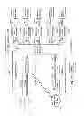 Fig. 07 - Clustered storage network