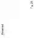 Fig. 28 - Software based application specific integrated circuit