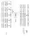 Fig. 16 - Mapping storage of data in a dispersed storage network