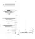 Fig. 04 - METHOD AND SYSTEM FOR DIAGNOSING APPARATUS