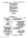 Fig. 28 - Reciprocal linking arrangement between web pages