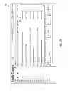 Fig. 20 - ANALYTIC FRAMEWORKS FOR PERSONS OF INTEREST