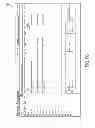 Fig. 22 - ANALYTIC FRAMEWORKS FOR PERSONS OF INTEREST