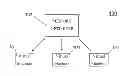 Fig. 01 - System and method for improving memory usage in virtual machines