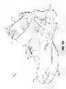 Fig. 02 - Easy access articles of footwear