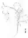 Fig. 09 - Easy access articles of footwear