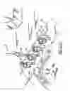 Fig. 03 - Robotic plantlet handling system