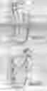 Fig. 08 - Robotic plantlet handling system