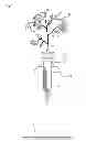 Fig. 02 - HYDROPONICS ATTACHMENT AND HYDROPONICS KIT