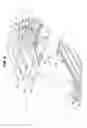 Fig. 05 - HAYMAKING MACHINE COMPRISING AN IMPROVED DEFLECTOR