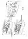 Fig. 09 - Evaporative heat transfer system