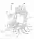 Fig. 01 - ROTARY WHEELHOUSE ROLLER HEMMING ASSEMBLY
