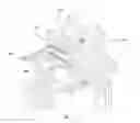 Fig. 13 - ROTARY WHEELHOUSE ROLLER HEMMING ASSEMBLY