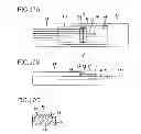 Fig. 10 - Electric stringed musical instrument and method of designing the same