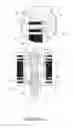 Fig. 09 - Uniflow steam engine