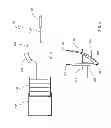 Fig. 04 - Collection and distribution of plant material