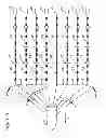 Fig. 02 - Tailbuoy stabilization device and method
