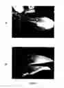 Fig. 10 - Method for sanitizing fresh produce