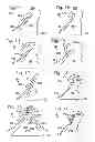 Fig. 04 - Mounting structures for photovoltaic cells