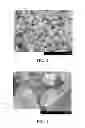 Fig. 03 - PROCESS FOR MAKING SILVER POWDER PARTICLES WITH SMALL SIZE CRYSTALLITES