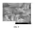 Fig. 04 - PROCESS FOR MAKING SILVER POWDER PARTICLES WITH SMALL SIZE CRYSTALLITES