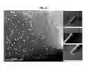 Fig. 03 - SYNTHESIS METHOD OF CU(IN,GA)SE2 NANOROD OR NANOWIRE AND MATERIALS INCLUDING THE SAME
