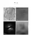Fig. 05 - LIGHT ABSORBING MATERIAL AND SOLAR CELL INCLUDING THE SAME