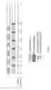 Fig. 07 - System and process for supplying a chemical agent to a process fluid