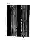 Fig. 03 - HIGH PERFORMANCE TYRE FOR VEHICLE WHEELS