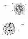 Fig. 03 - Tire comprising a crown reinforcement