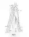 Fig. 06 - Method for applying stretched elastic strands to a substrate